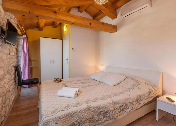 Σπίτι διακοπών Manovel Višnjan